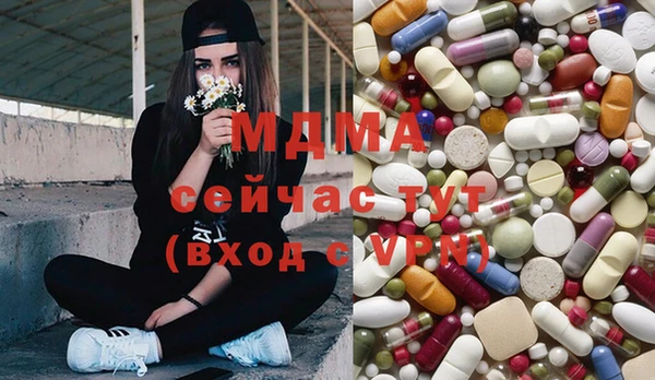 mdpv Бородино