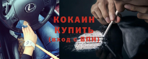 mdpv Бородино