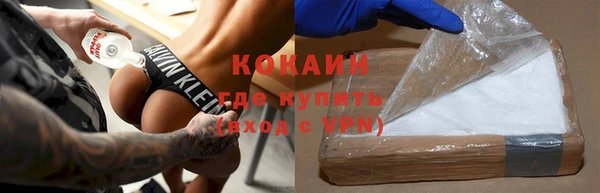 mdpv Бородино