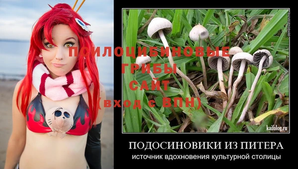 МДПВ Верхний Тагил