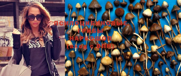 прущая мука Строитель