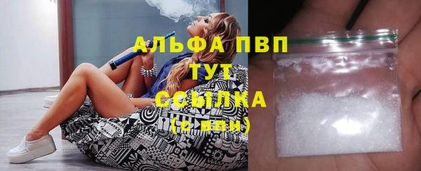 mdpv Бородино