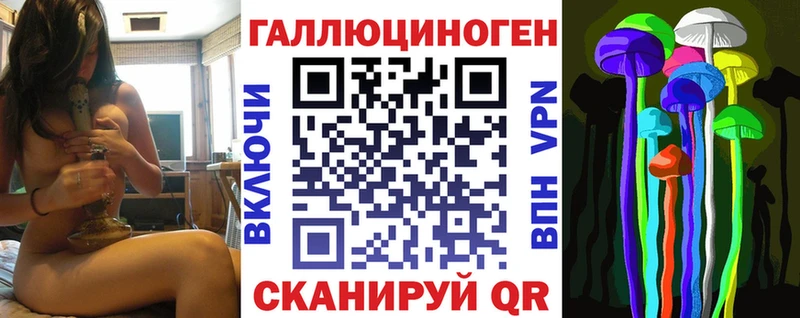 Псилоцибиновые грибы Cubensis Старица