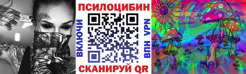 Псилоцибиновые грибы Cubensis  Старица 